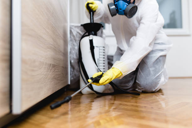 Best Wasp Removal Services  in New Tazewell, TN