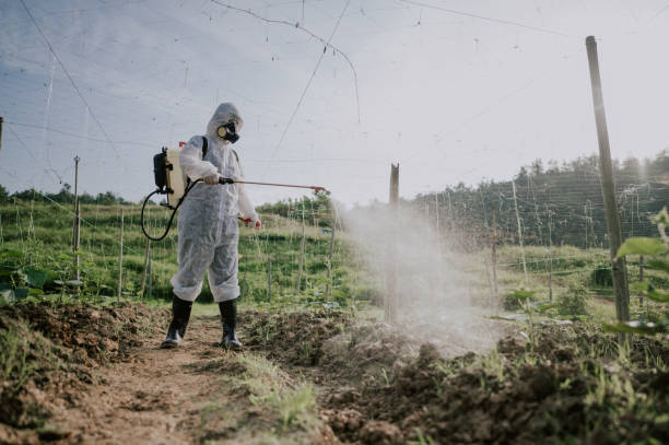 Best Commercial Pest Control Services  in New Tazewell, TN