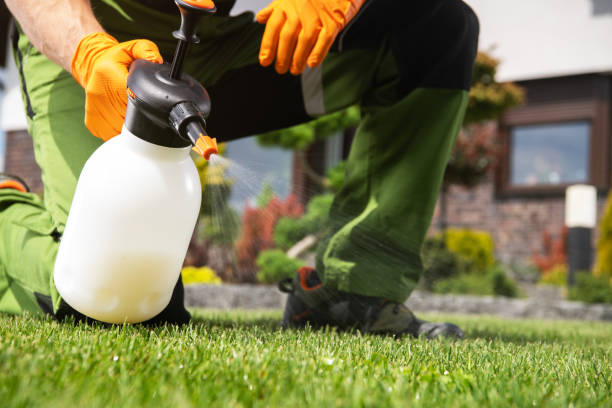 Best Affordable Pest Control Services  in New Tazewell, TN