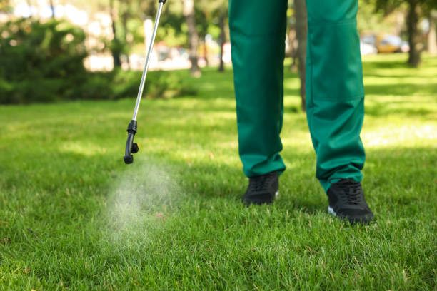 Best Wildlife Control Services  in New Tazewell, TN