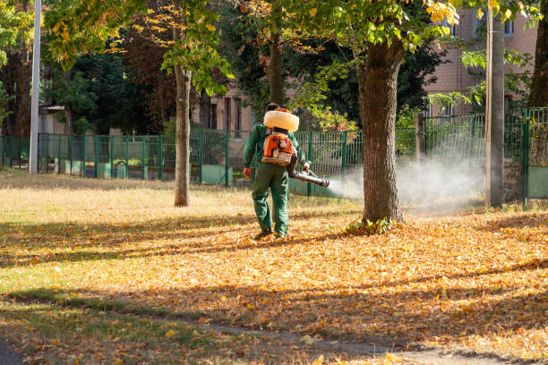 Trusted New Tazewell, TN Pest Control Experts