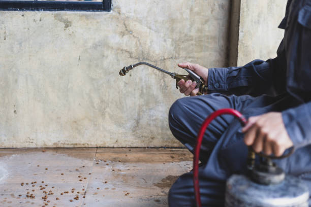 Best Mosquito Control Services  in New Tazewell, TN